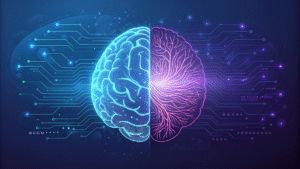 A_high-tech_brain_split_into_two_contrasting_side-1747966546009 - innovaTopia