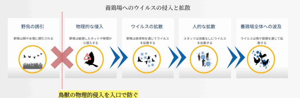 sub3 - innovaTopia