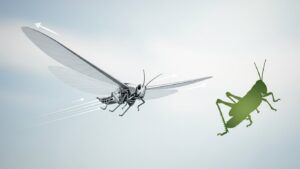 プリンストン大学、バッタ型ロボット開発——滑空モードで救助活動の可能性を拡大 - innovaTopia