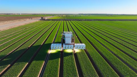 LaserWeeder_G2_Daytime_-_Spinach_-_Yuma_-_Aerial - innovaTopia