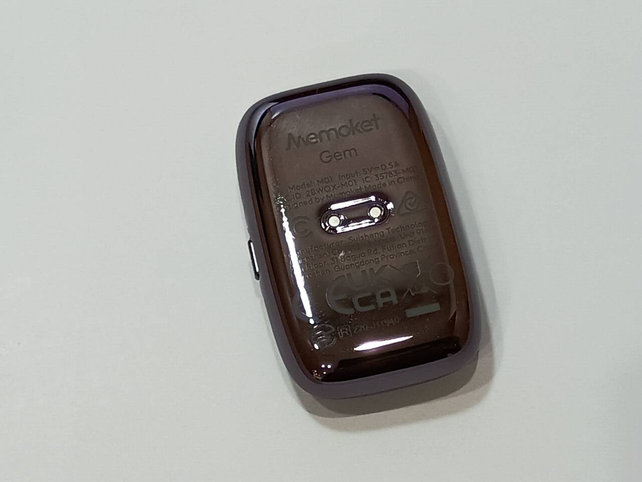 本体の裏面。中央に充電ドックと接する2つの金属ピンがあり、その周囲に型番や各国の認証マークが刻印されている