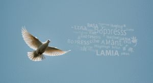 Rasa, Botpress, Hugging Chat、Llama徹底比較。オープンソースAIチャットボットの選び方と未来