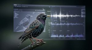 鳥の記憶はデジタルストレージになるか？ – YouTubeクリエイターが音声変換で176KBのPNG画像転送に成功