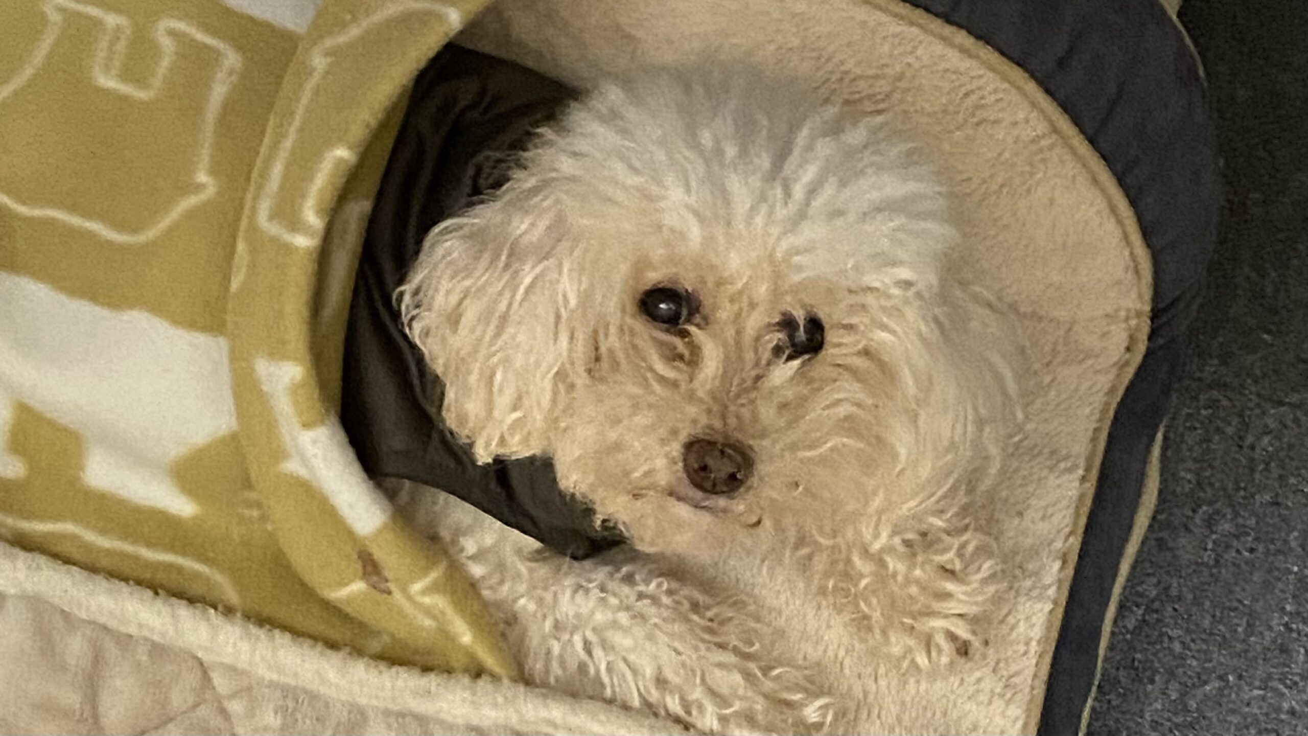 IMG_6888 - innovaTopia  - innovaTopia - (イノベトピア)