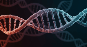  - innovaTopia - （イノベトピア）