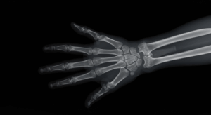  - innovaTopia - （イノベトピア）