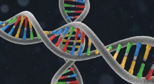  - innovaTopia - （イノベトピア）