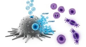 がん細胞を治療の工場に—MITが開発した次世代免疫療法、STING経路の革新的活性化方法 - innovaTopia - （イノベトピア）