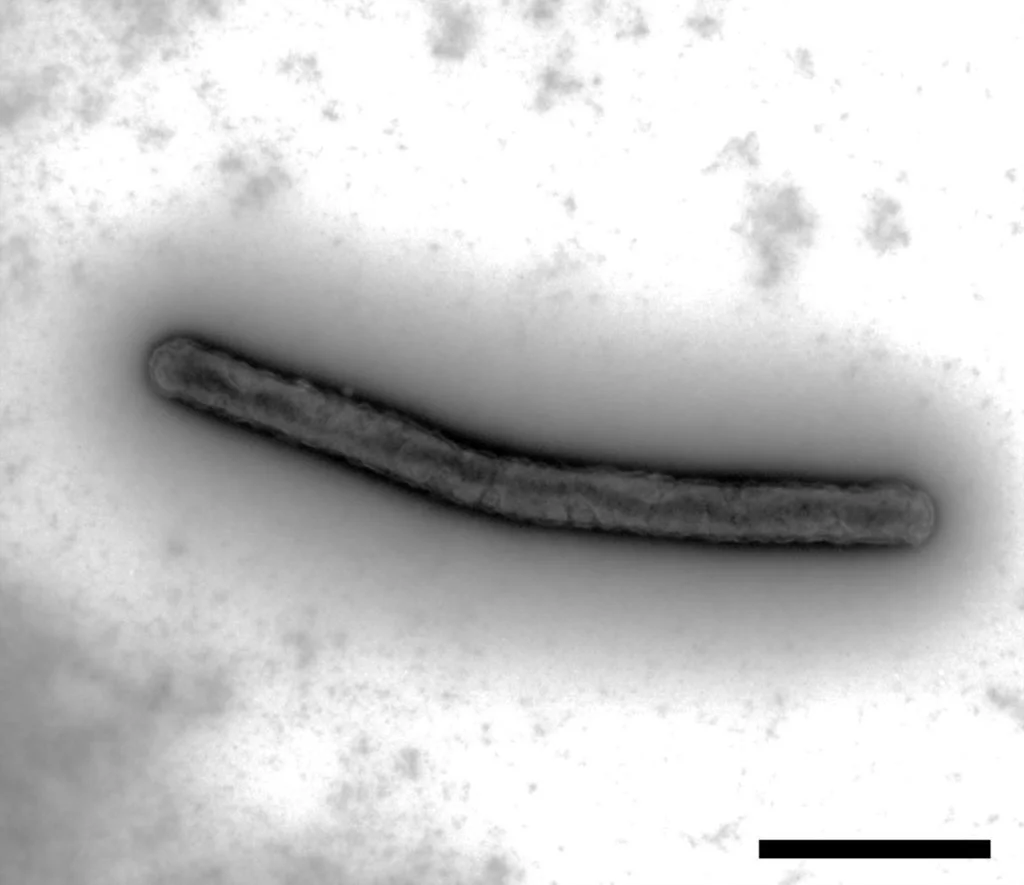 pr_20251212_agr-1-1024x885 - innovaTopia - innovaTopia - (イノベトピア)