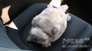 トヨタ・モビリティ基金「ドラにゃむ」実証実験──猫型ロボットが安全運転を支援、擬人化の功罪を問う