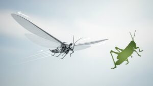 プリンストン大学、バッタ型ロボット開発——滑空モードで救助活動の可能性を拡大 - innovaTopia - （イノベトピア）