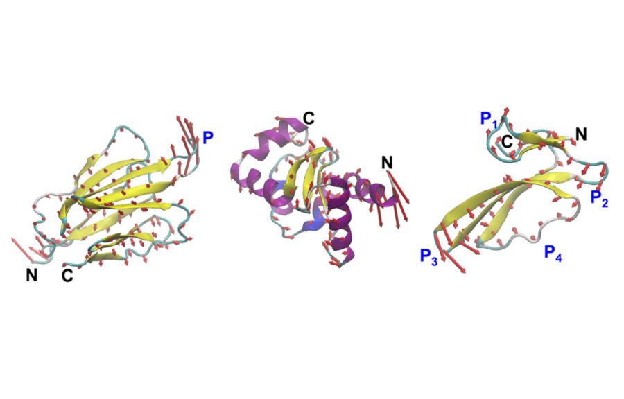 MIT-VibeGen-protein - innovaTopia