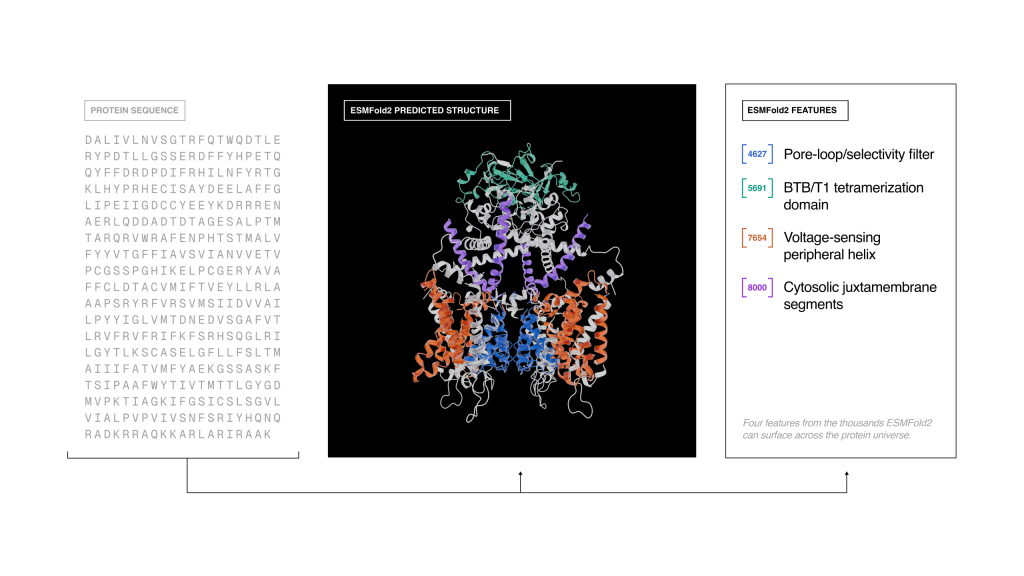 esmfold2-protein-structure-prediction-features-scaled - innovaTopia